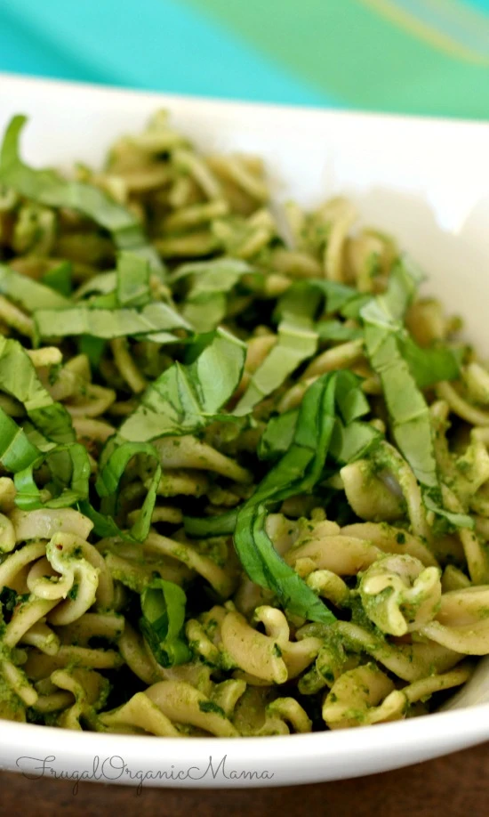 Creamy green kale pesto sauce in a blender, served with fresh pasta